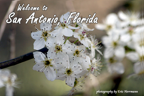 fall2011IMG_1307b