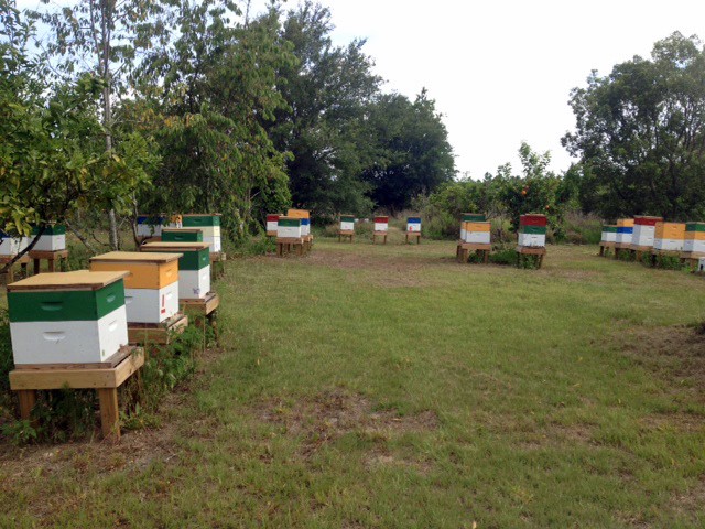 Apiary